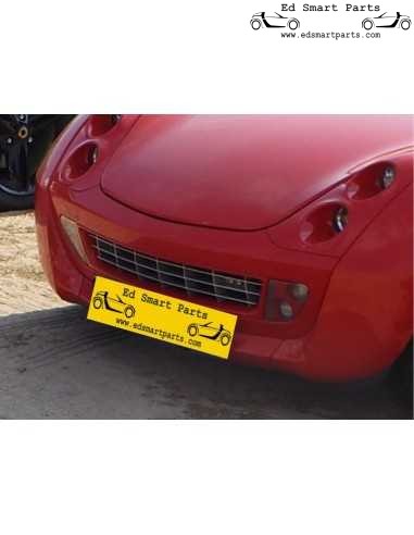 Griglia anteriore in alluminio Smart Roadster 452 Michalak Design