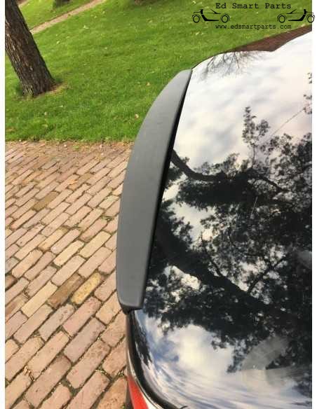 Alerón trasero S-Mann para Smart Roadster 452