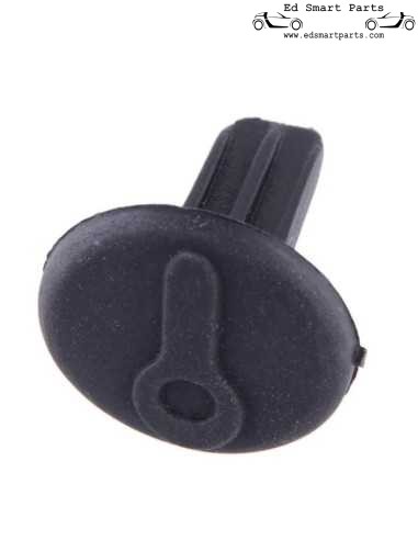 Cache serrure de porte Smart ForTwo 451