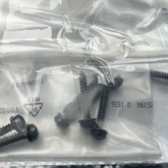 Original Smart Fortwo 450 selbstschneidende Schraube für die Türtaschen