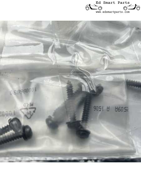Original Smart Fortwo 450 selbstschneidende Schraube für die Türtaschen