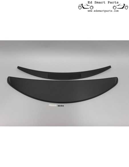 Spoiler sul tetto Smart ForTwo 451 S-Mann