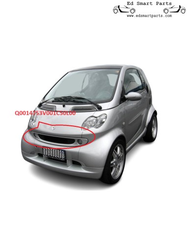 Smart ForTwo Brabus Zilveren Front Grille OEM Q0014753V001C50L00