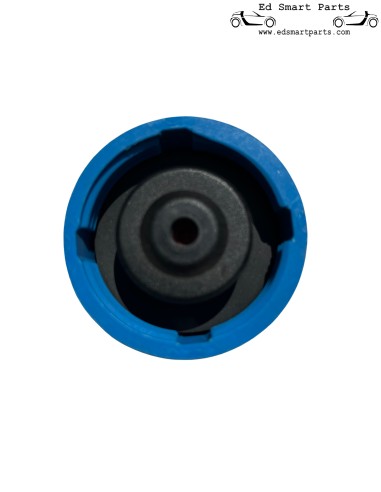 Tappo radiatore Smart ForFour 454