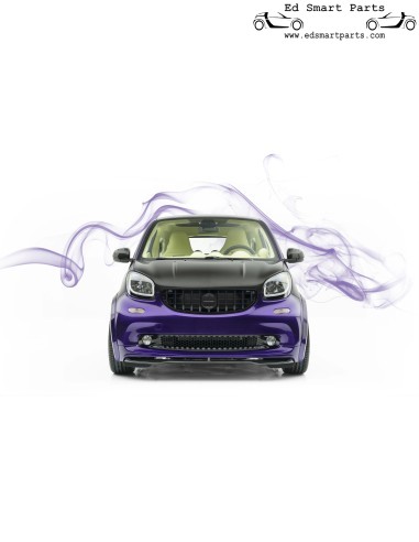 Mansory Front Grill Smart ForTwo / ForFour 453