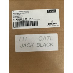 Smart ForTwo 451 modanatura laterale sinistra A4516902125 CA7L JACK BLACK 2