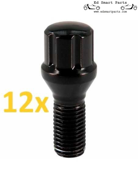 M12X1.5x24mm Zwarte 6-spline wielbouten set van 12 voor Smart Roadster en ForTwo modellen