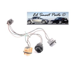 Kit di riparazione cablaggio gruppo portalampada lente fanale posteriore Smart Roadster 452