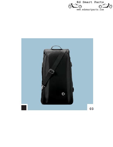 Véritable sac de sport et de voyage Smart Roadster de la collection Smartware de 2006