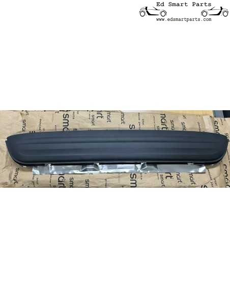 Q0000959V003 hitteschildpaneel smart fortwo 450