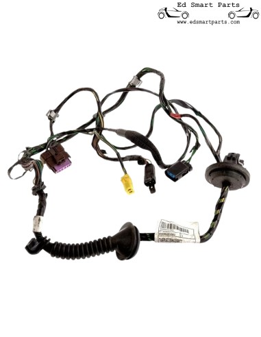 Arnés de puerta con función de espejo eléctrico Smart Roadster (Coupé) 0009834V002