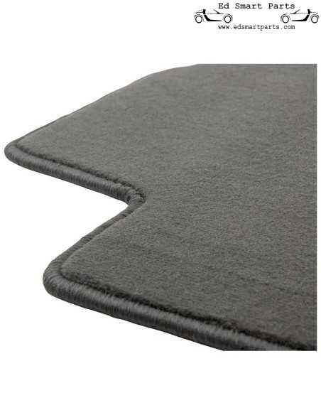 Ensemble de tapis de voiture en velours adaptés à Smart ♯1 EV 2022-