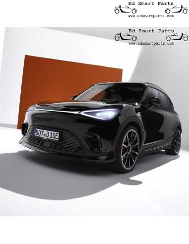 Fixations de jupe avant BRABUS prises d'air Smart ♯1 HX-11