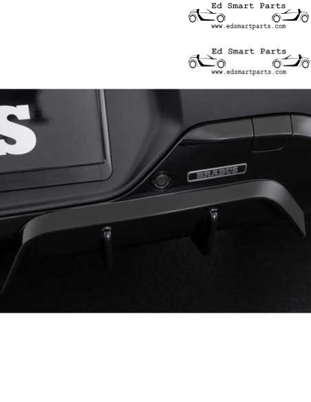 Diffusore posteriore BRABUS Smart ♯1 HX-11