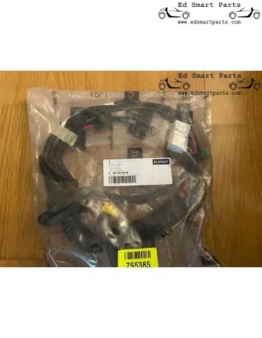 A4545402505 Cabo da porta dianteira esquerda Smart ForFour