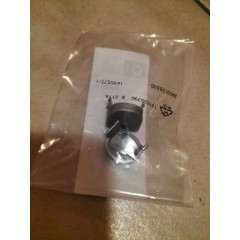 Conjunto original de tampas de parafuso de dobradiça para a tampa de vidro do porta-malas do Smart Roadster Coupé. Pacote com 2  2
