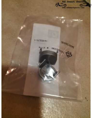 Conjunto original de tampas de parafuso de dobradiça para a tampa de vidro do porta-malas do Smart Roadster Coupé. Pacote com 2 