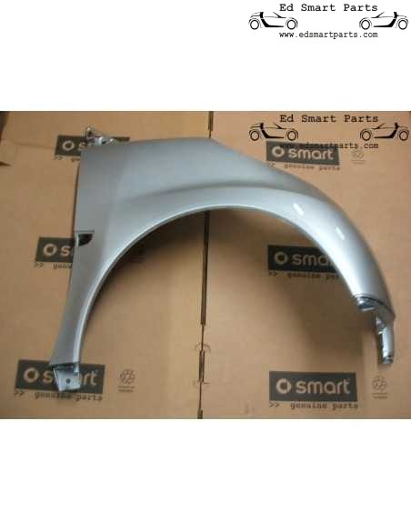 Smart ForTwo 451 2007-2013 Spatbord Voorzijde gespoten Links of Rechts