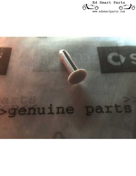Smart Roadster 452 cover A pillar cowling fixing clip