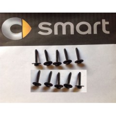 Bodywork Screw x10 - fits treenail clip