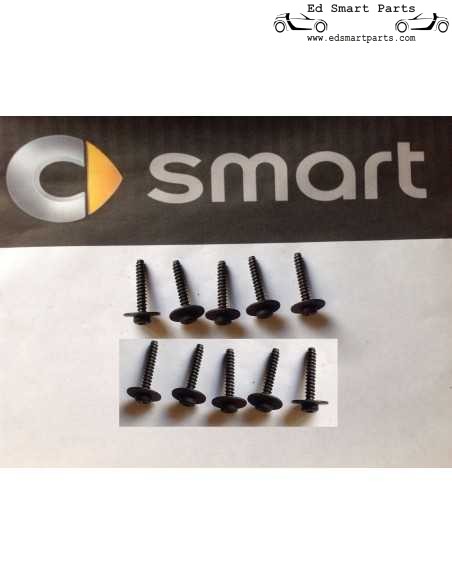 Tornillo de carrocería x10 - se adapta al clip de clavo de árbol