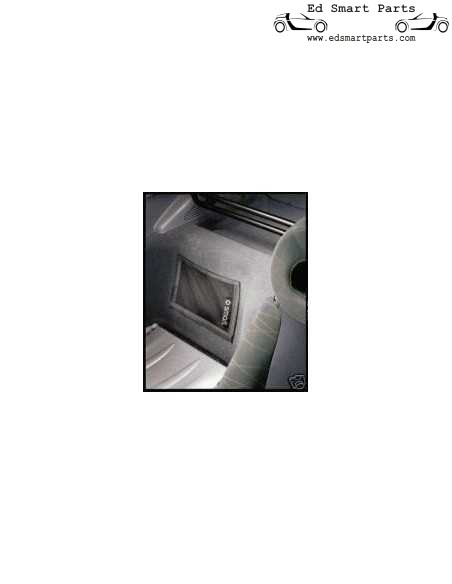 Smart Roadster Velcro Luggage Net