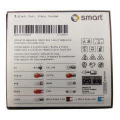 OEM Smart H7 vervangende lampenset 2
