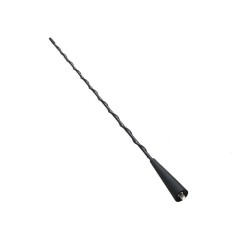 Nueva antena AM/FM para Smart Roadster