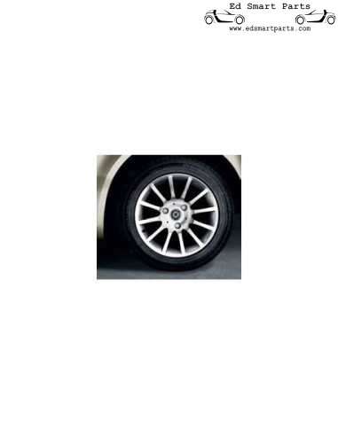 Nuovo cerchio Smart Roadster Trackline da 15 pollici