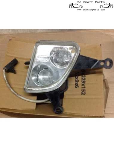 Unidad de luz intermitente Smart Roadster usada con luz antiniebla en el lado izquierdo