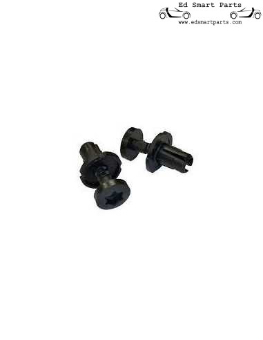 Smart Fortwo 450 / 451 mirror expansion rivets - Mirror Triangle 2 pcs