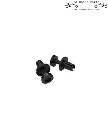Smart Fortwo 450 / 451 mirror expansion rivets - Mirror Triangle 2 pcs