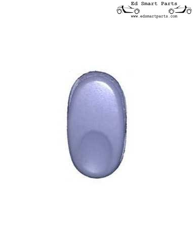 Tappo cieco Coperchio cieco Interruttore Smart Roadster 452