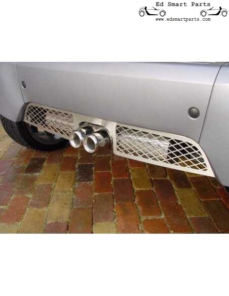 Genuine S-Mann ForTwo 450 Stainless Steel Rear Valance for Twin Exit Exhaust
