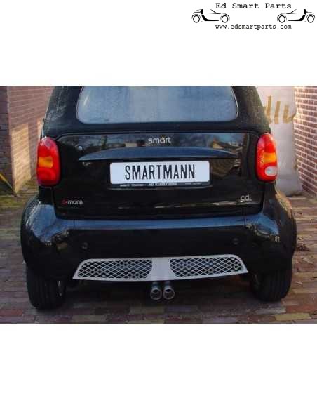 Genuine S-Mann ForTwo 450 Stainless Steel Rear Valance