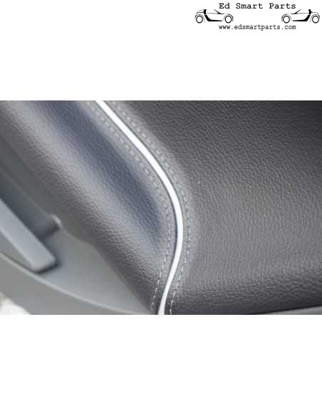 Panneau de porte droit ou gauche Smart Roadster Brabus Xclusive