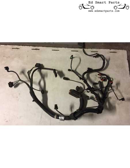 CABLAGGIO MOTORE Smart Roadster 60kw LHD o RHD