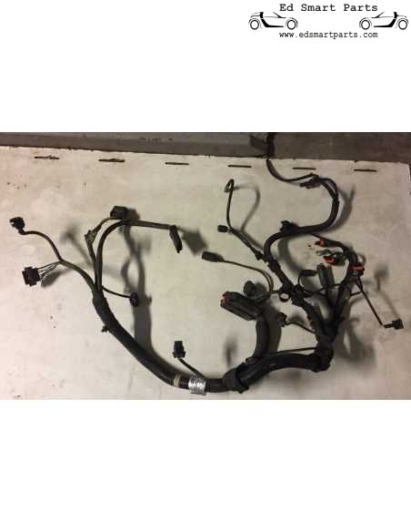 CABLAGGIO MOTORE Smart Roadster 60kw LHD o RHD