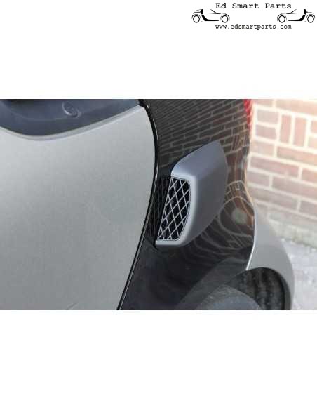 Smart Fortwo 453 S-MANN LUCHTHUIS
