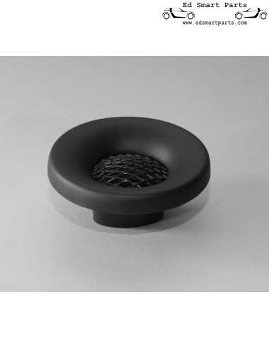 Smart Fortwo 450 MICHALAK DESIGN AIRINTAKE