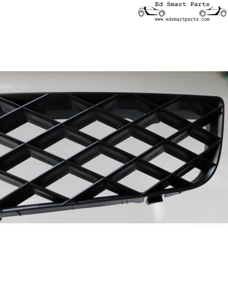 neuer Smart Roadster Brabus 452 Frontgrill Kühlergrill