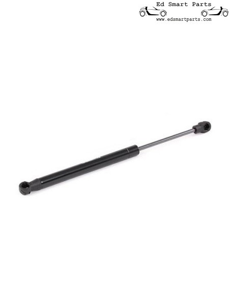 Molla a gas cofano anteriore Smart Roadster 452