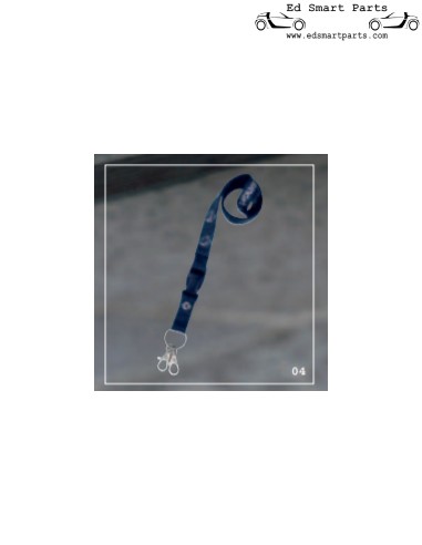 Fita de pescoço genuína smart Evolution Karabiner da coleção smartware de 2004
