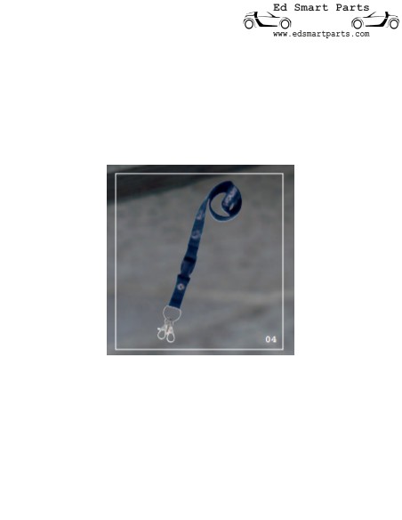Genuine smart Evolution Karabiner neckband from the smartware collection of 2004