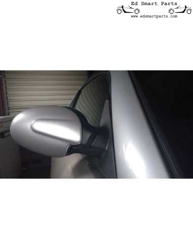 Smart Roadster Spiegelabdeckungspaar