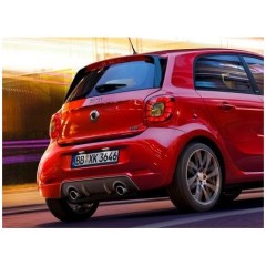 Smart Fortwo / Forfour 453 Saia Traseira pintada na cor