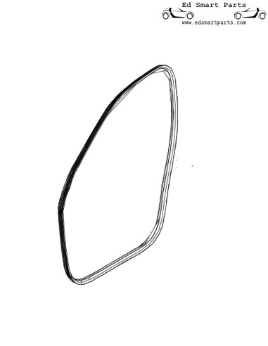 Smart ForTwo / ForFour 453 Front Door seal gasket rubber