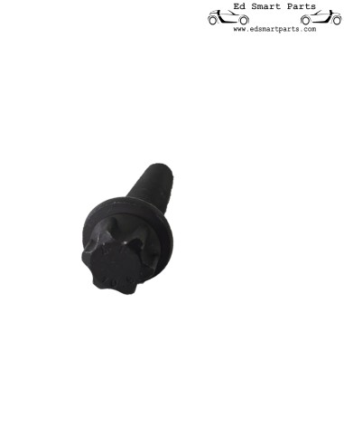 Krukaspoeliebout voor smart Roadster 452 & smart Fortwo 450 698cc
