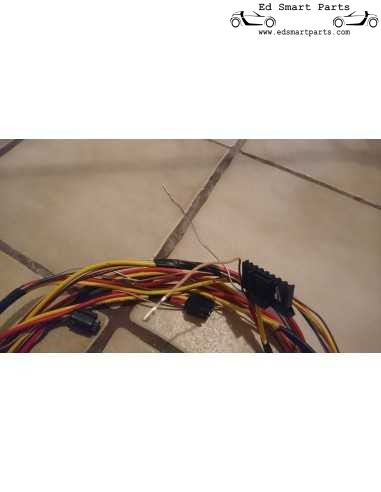 Softtop Wiring Loom for Smart Roadster