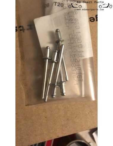 Conjunto de 5 rebites para regulador de janela Smart Roadster 452